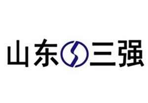 山东三强建设咨询有限公司 山东三强建设咨询有限公司
